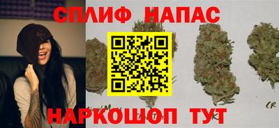 стафф Тверь