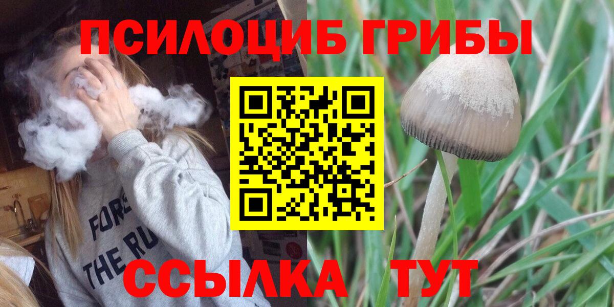 Псилоцибиновые грибы Cubensis  Вход с VPN  Павловский Посад 