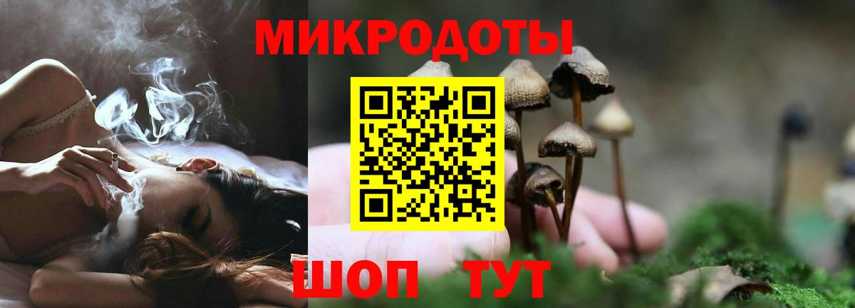 Псилоцибиновые грибы мухоморы Павловский Посад